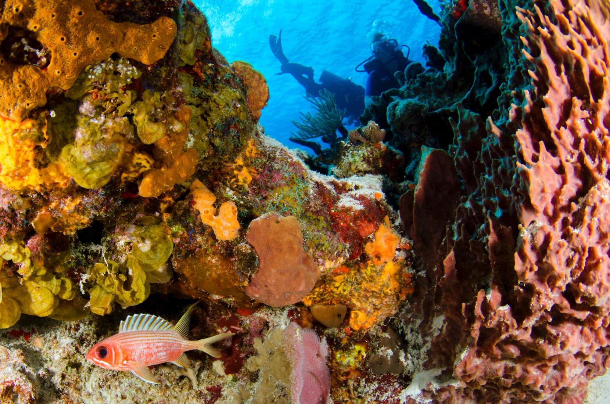 Maxcaly Playa Ξενοδοχείο Águilas Εξωτερικό φωτογραφία